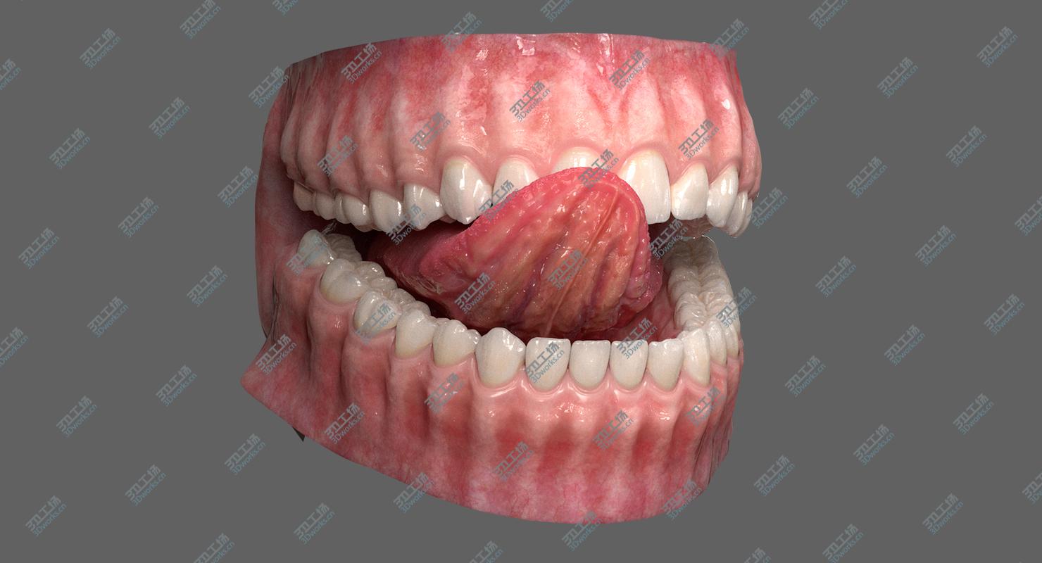 images/goods_img/20210113/Realistic Dental Model With Gums Teeth and Tongue 3D model/3.jpg